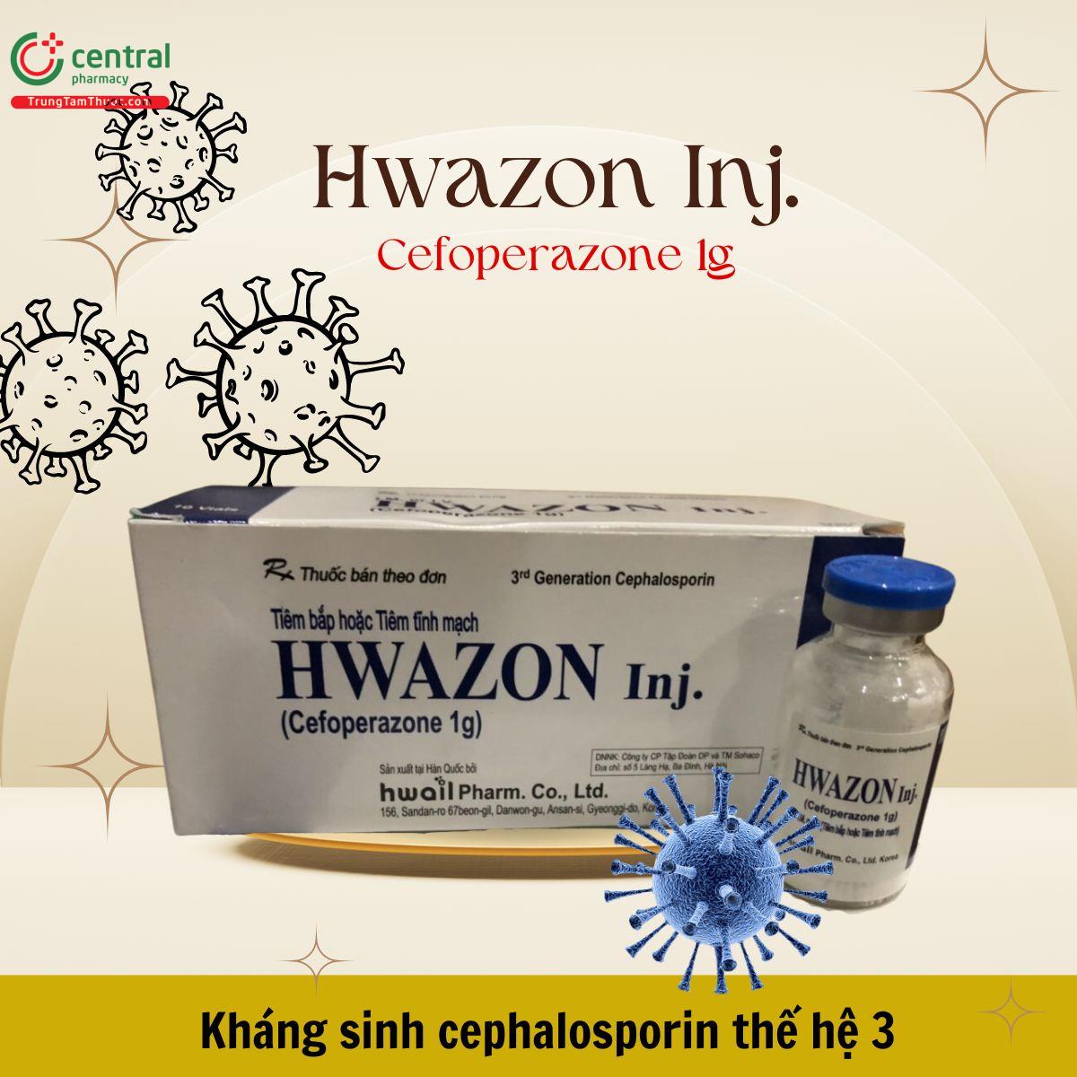 Thuốc tiêm Hwazon Inj. 1g - kháng sinh điều trị nhiễm khuẩn 