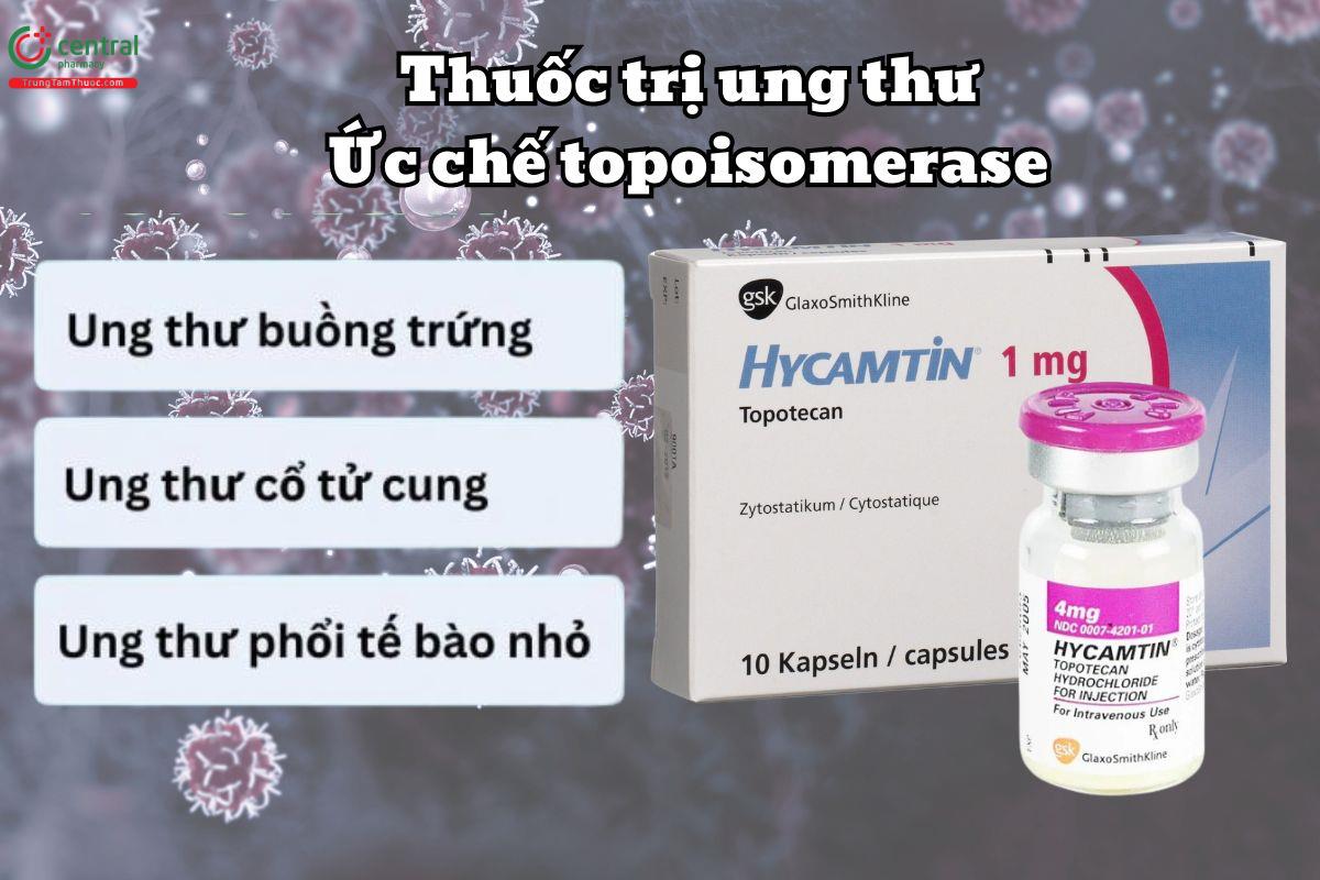 Thuốc Hycamtin