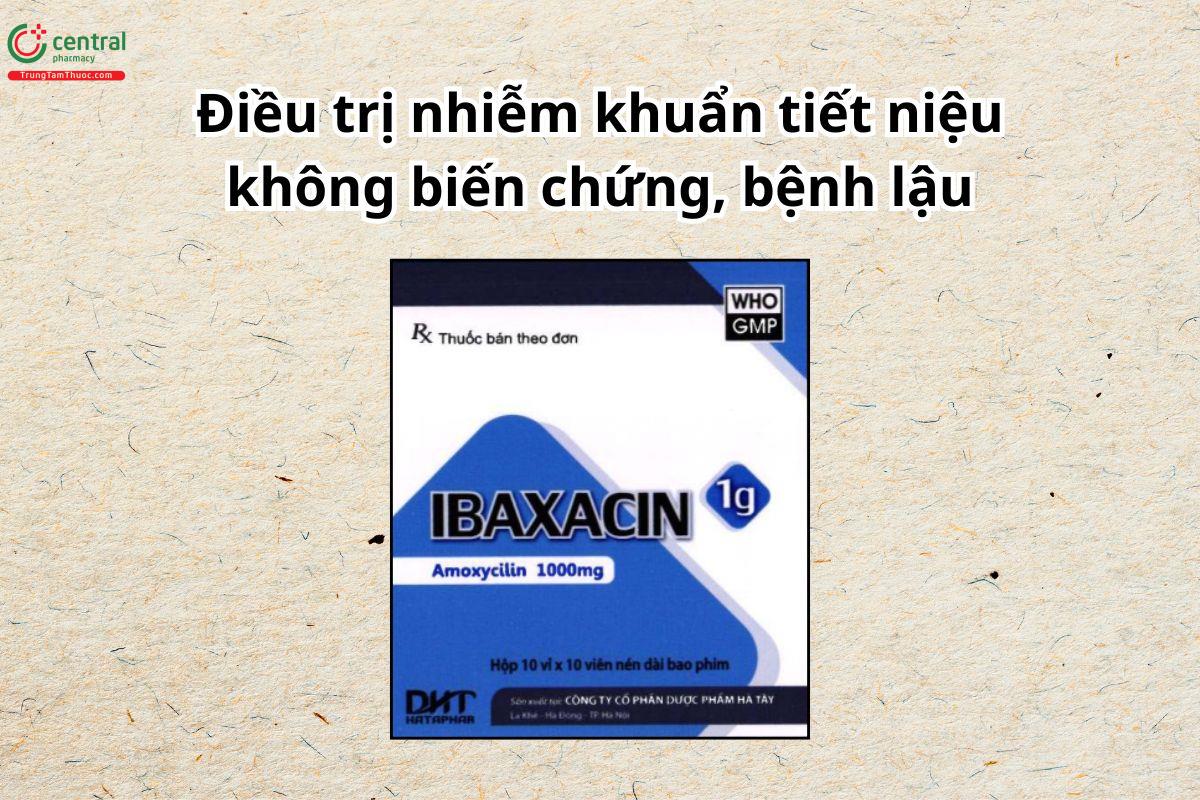 Thuốc Ibaxacin 1g điều trị các trường hợp nhiễm khuẩn hô hấp trên