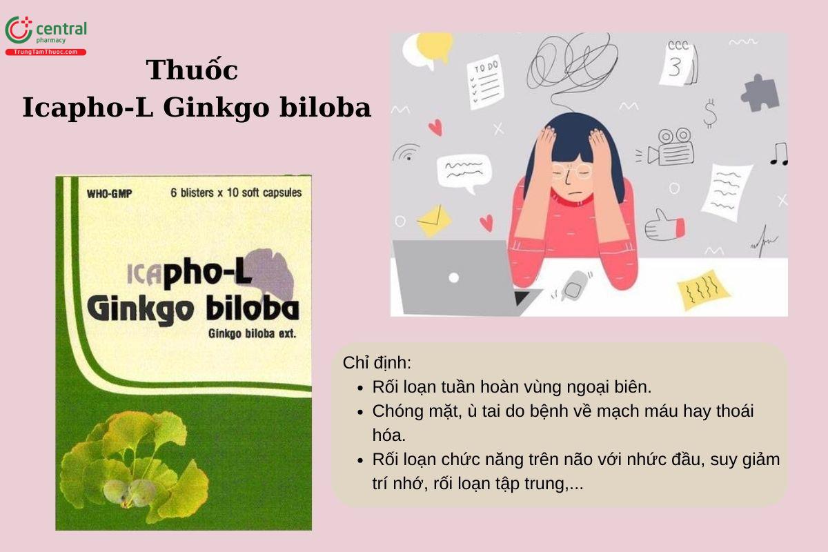 Chỉ định của thuốc Icapho-L Ginkgo biloba 40mg
