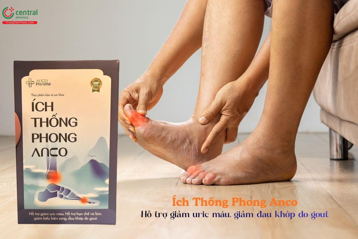 Ích Thống Phong Anco giảm acid uric, giảm đau khớp do gout
