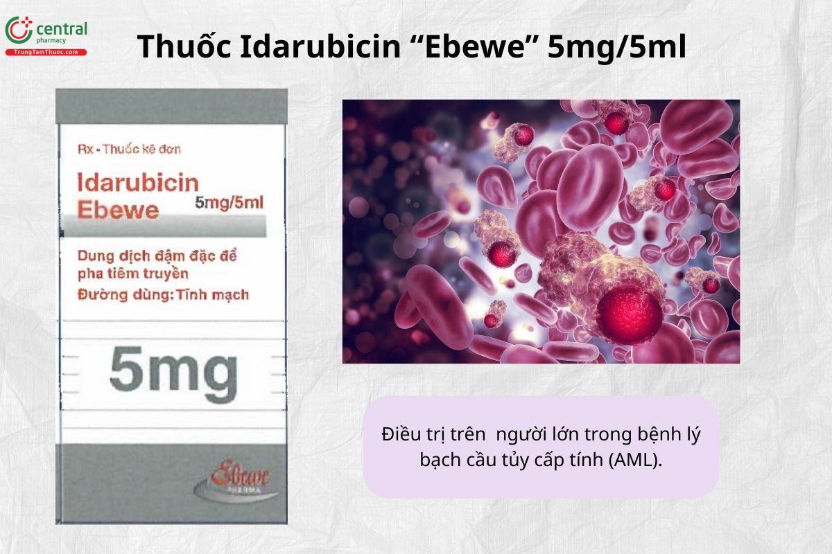 Chỉ định của thuốc Idarubicin “Ebewe” 1mg/1ml