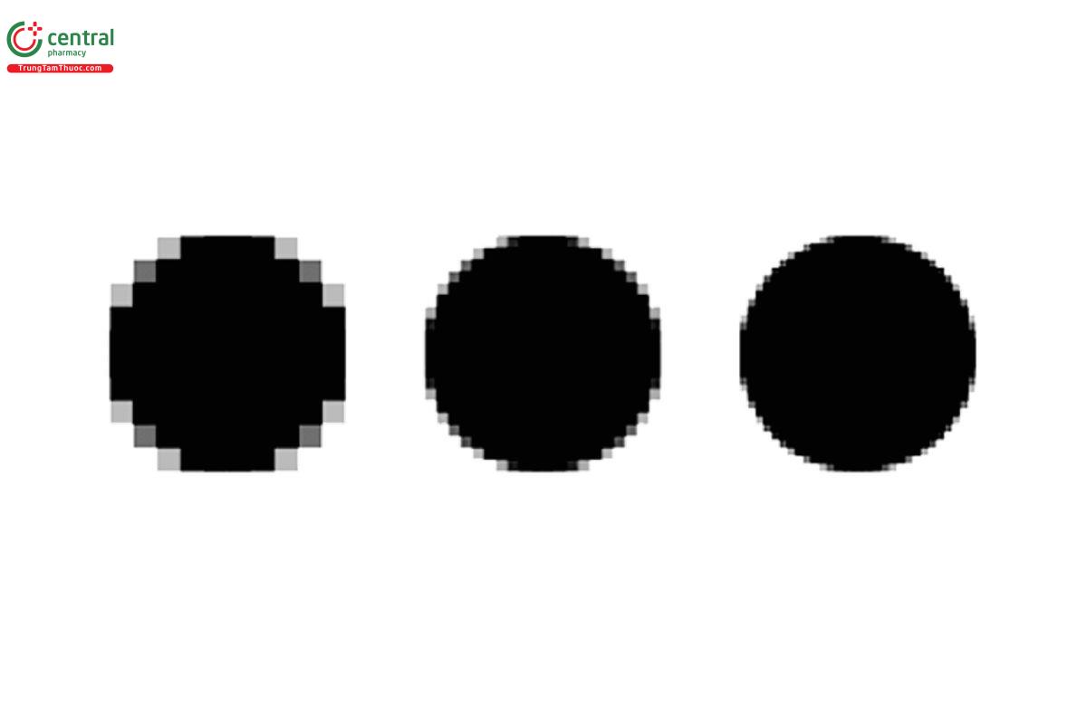 Figure 1. An example of pixel arrays with increasing resolution.