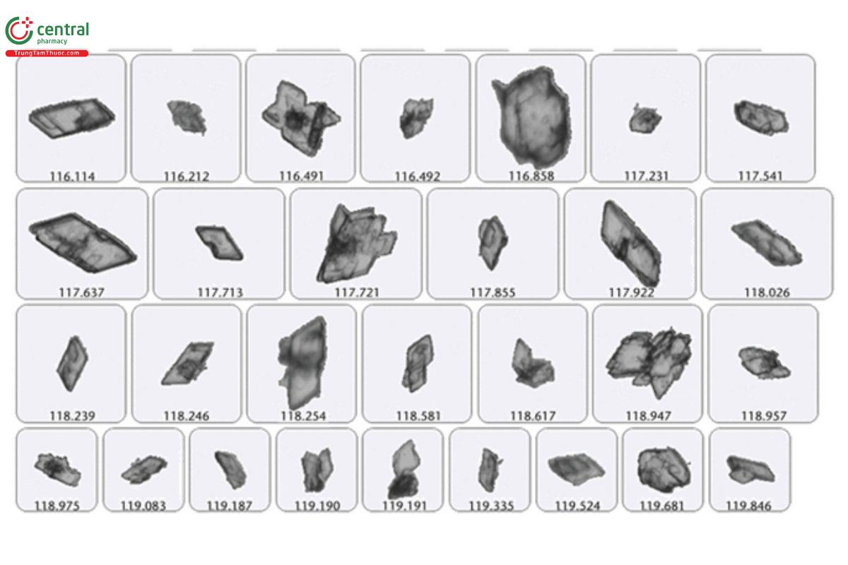 Figure 8. Differentiation of particles based on the opacity.