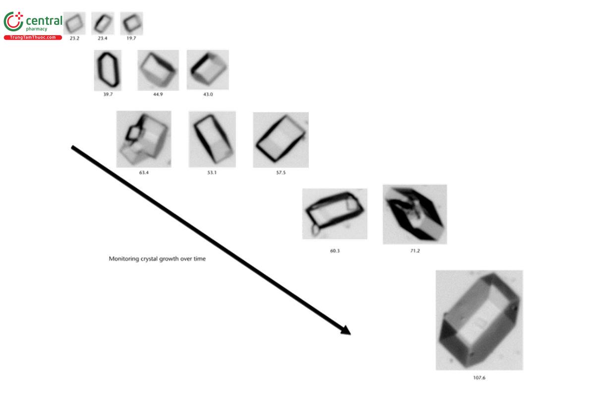 Figure 2. Monitoring crystal growth using image analysis. The measuring abilities of image analysis make it possible to capture quantitative information. The stored images themselves enable qualitative review of the samples. Monitoring the dissolution of the particles exhibits the opposite trend. Note that different magnifications were used in these images; measurement values are in micrometers.