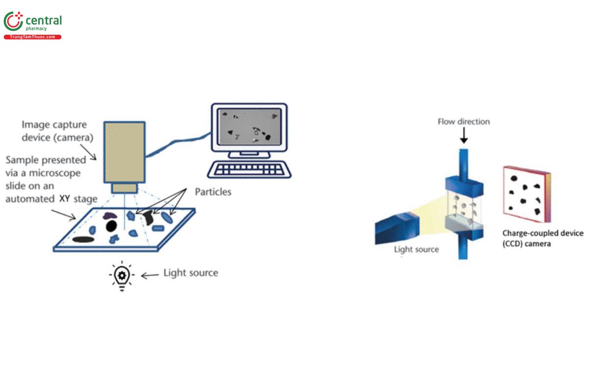 Figure 3. Example diagram of static and dynamic image analyses.