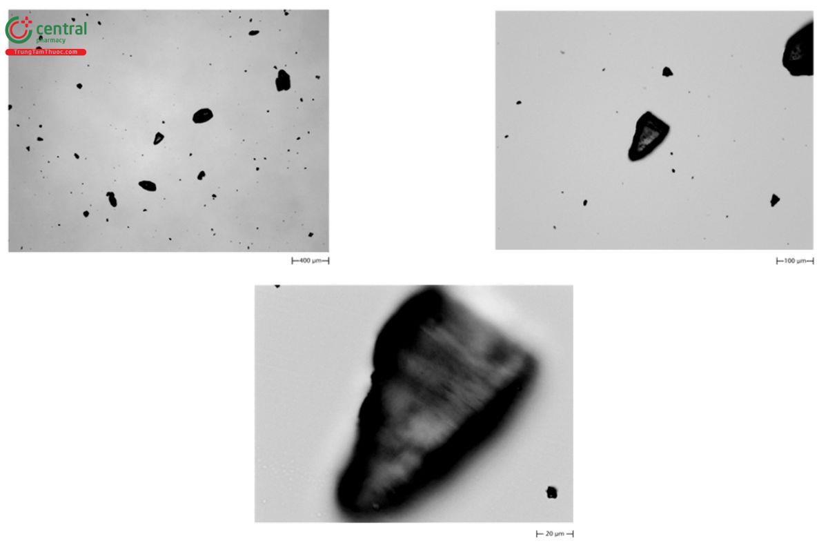 Figure 5. Images of the same particles taken at 2.5×, 10×, and 50×. As the magnification is increased the field of view is reduced and the resolution is increased. The third image shows that the depth of field of the magnification is not sufficient for the object. This could be overcome using z-stacking algorithms, but this would also increase the measurement time. For an image analysis measurement, a compromise may be needed; for this example the 10× magnification may be optimal.