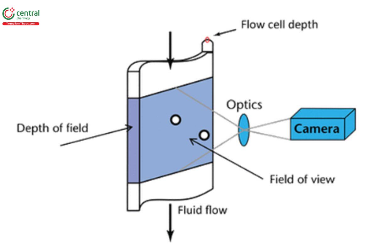 Figure 6. A diagram (shaded area) of the field of view and depth of field of an image.