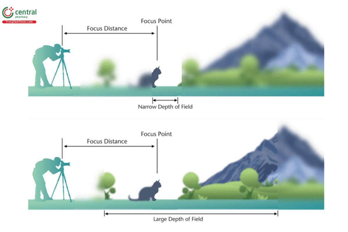 Figure 7. Images captured at different depths of field.