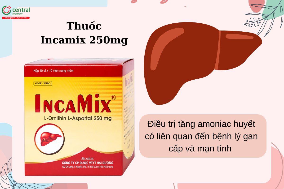 Chỉ định của thuốc Incamix 250mg
