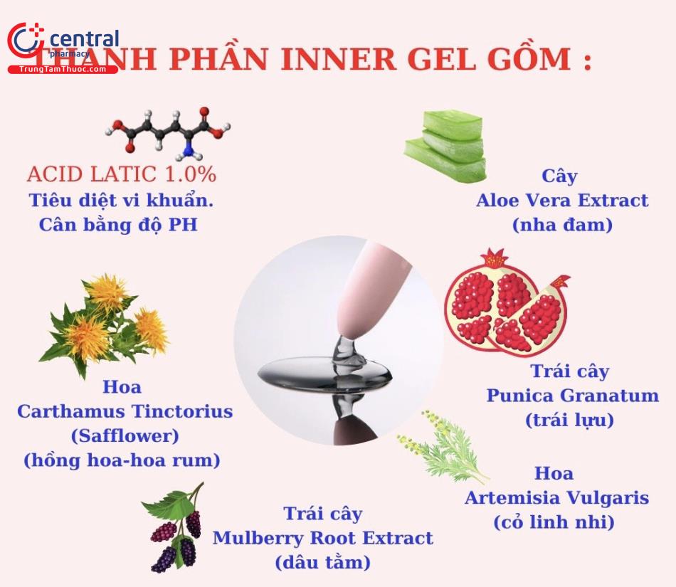 Hình 1: Thành phần có trong Inner Gel Wettrus