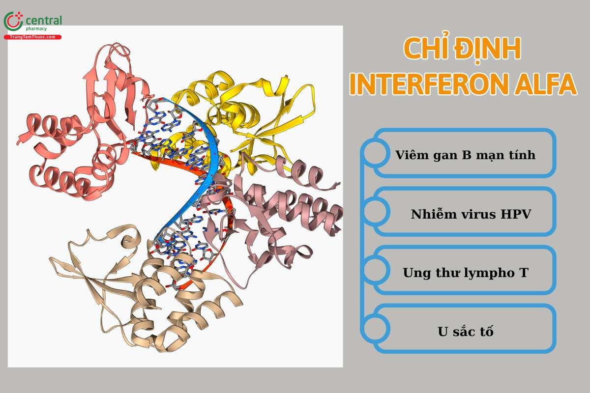 Chỉ định của Interferon Alfa