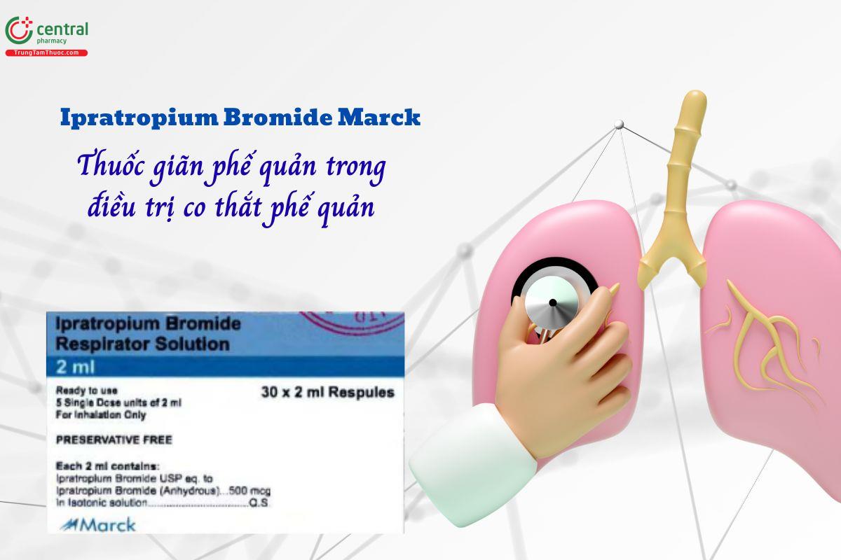 Thuốc Ipratropium Bromide Marck diều trị co thắt phế quản