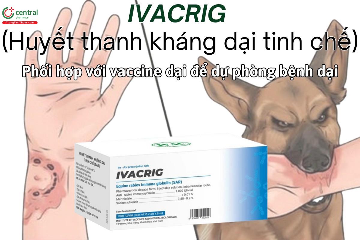 IVACRIG (Huyết thanh kháng dại tinh chế) phối hợp với vắc xin dại để dự phòng bệnh dại