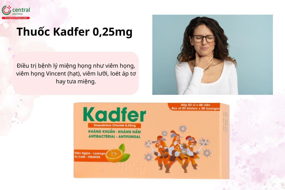 Chỉ định của thuốc Kadfer 0,25mg