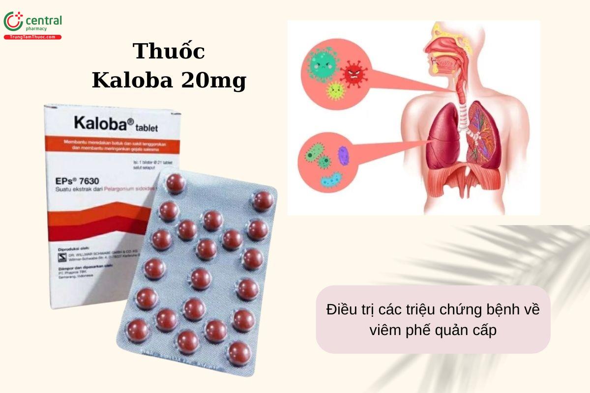 Chỉ định của thuốc Kaloba 20mg
