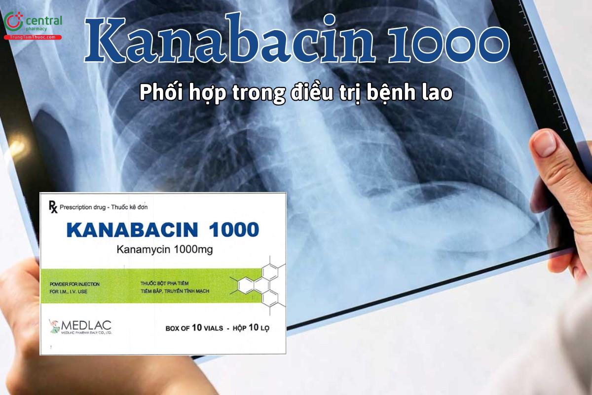 Thuốc Kanabacin 1000 được chỉ định phối hợp trong phác đồ điều trị bệnh lao