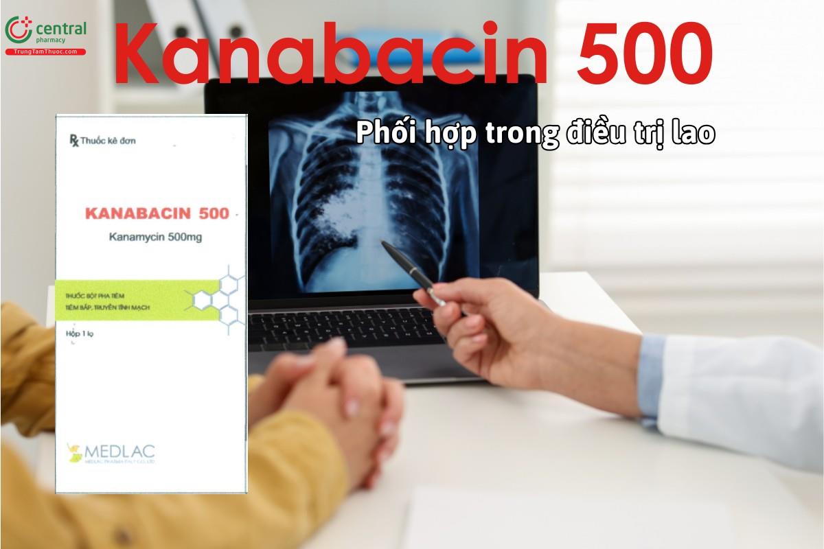 Thuốc Kanabacin 500 phối hợp với các thuốc khác trong điều trị bệnh lao