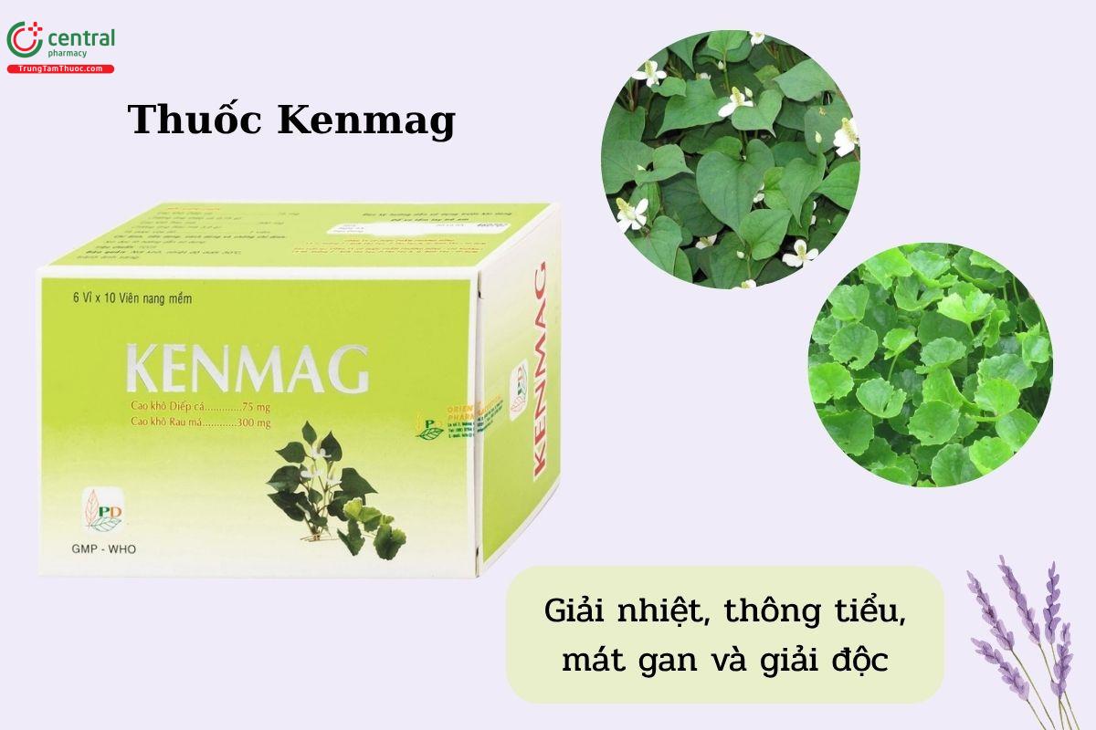 Chỉ định của thuốc Kenmag