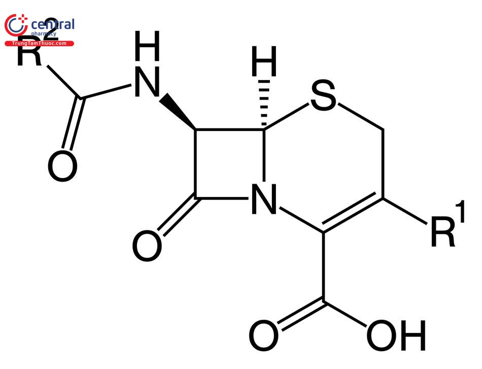 Cấu trúc nhóm kháng sinh Cephalosporin