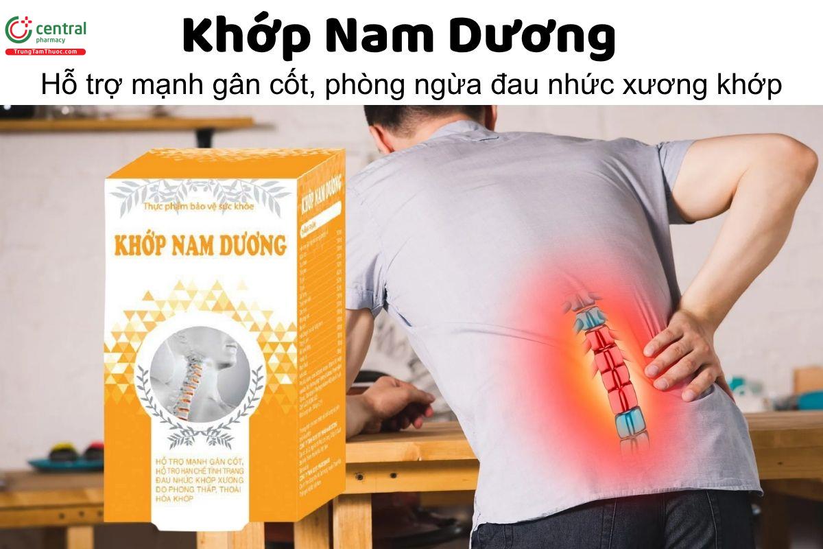 Khớp Nam Dương - Hỗ trợ mạnh gân cốt, phòng ngừa đau nhức xương khớp