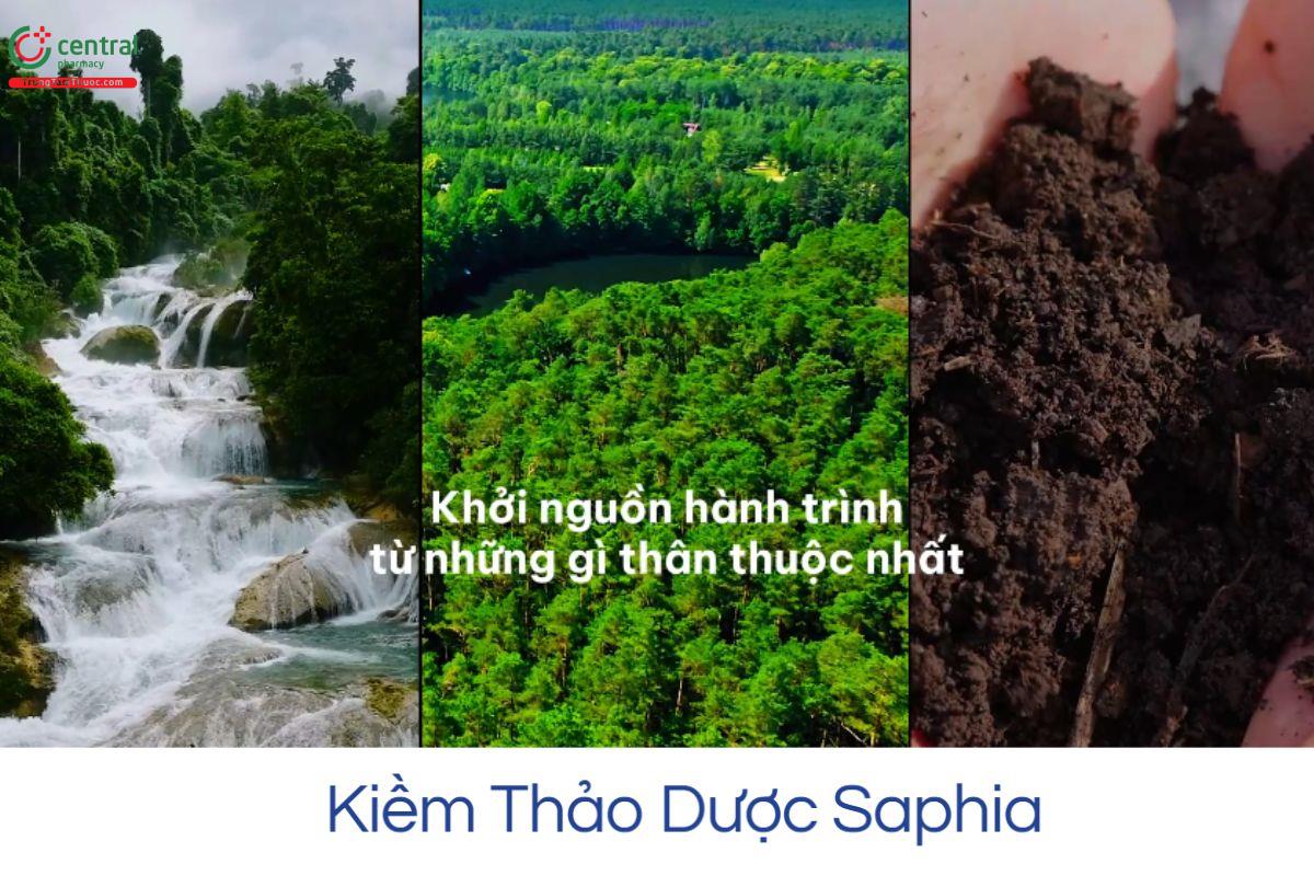 Kiềm Thảo Dược Saphia - Khởi nguồn từ tự nhiên
