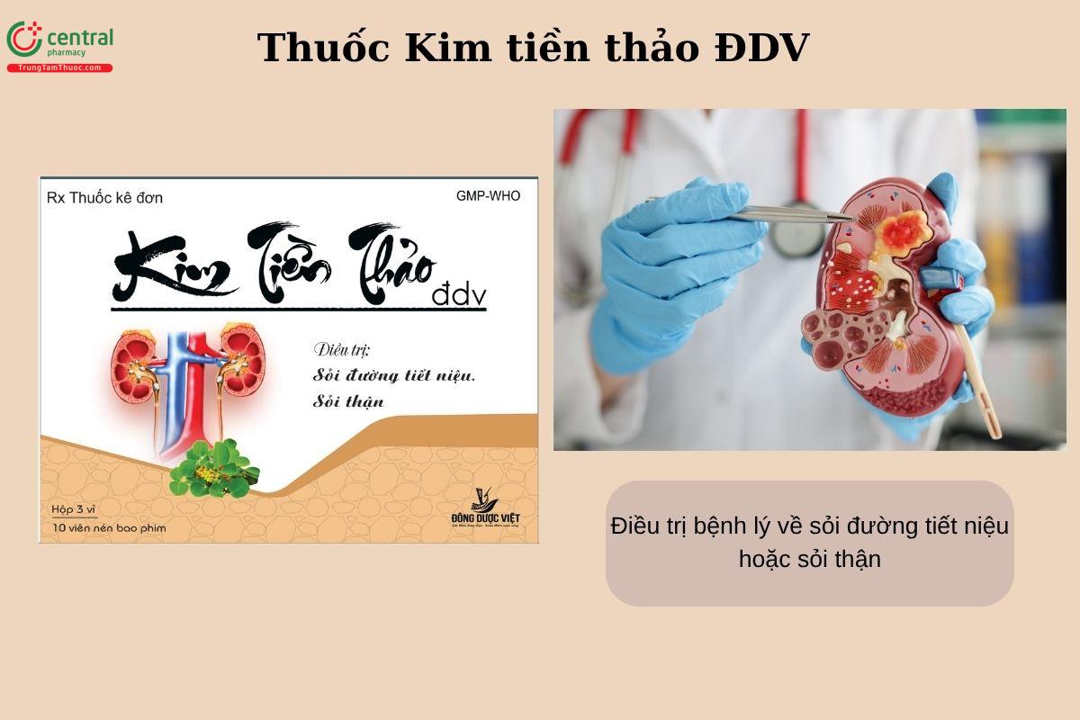 Chỉ định của thuốc Kim tiền thảo ĐDV