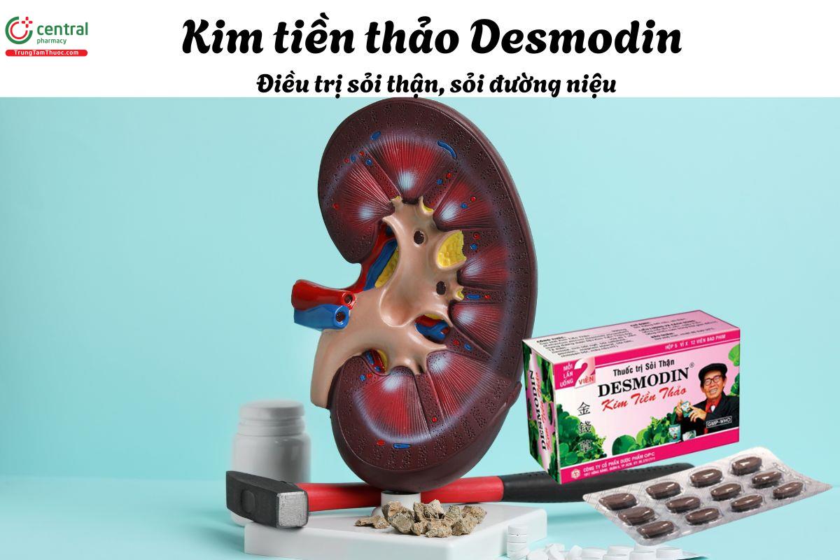 Thuốc Kim tiền thảo Desmodin - Điều trị sỏi thận, sỏi đường niệu