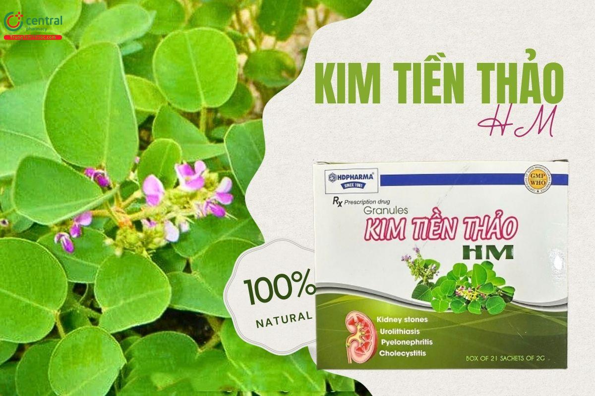 Thuốc Kim Tiền Thảo HM điều trị sỏi thận, sỏi mật, viêm túi mật