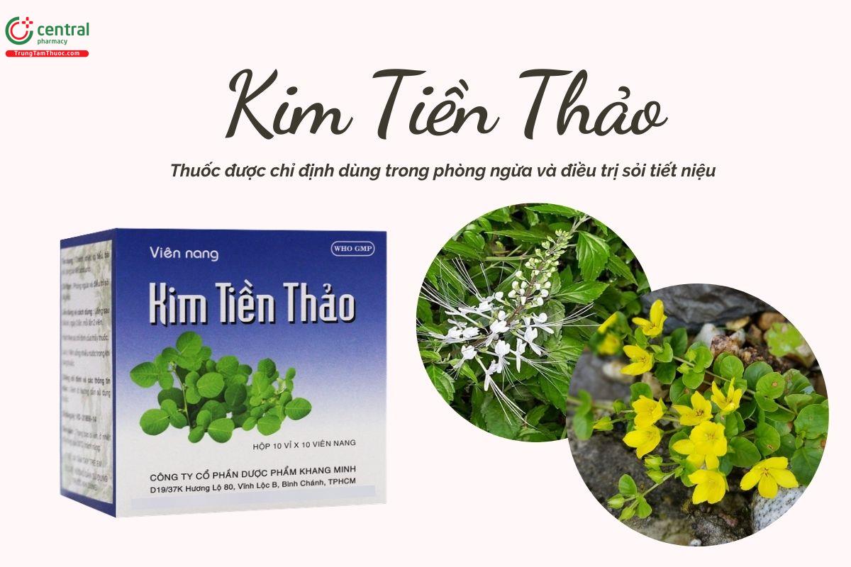 Kim Tiền Thảo Khang Minh phòng ngừa và điều trị sỏi tiết niệu