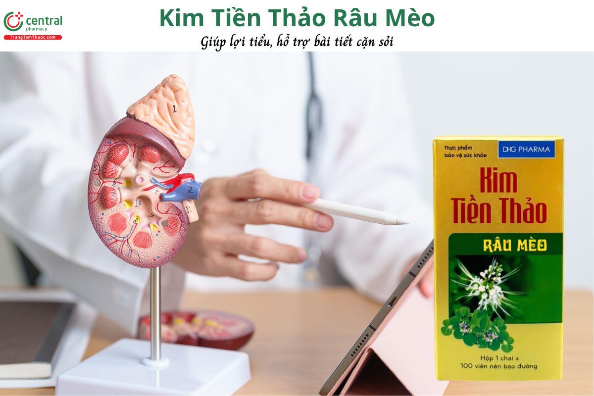 Kim tiền thảo râu mèo - Lợi tiểu, hỗ trợ bài tiết cặn sỏi