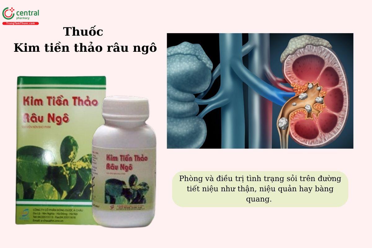 Chỉ định của thuốc Kim tiền thảo râu ngô