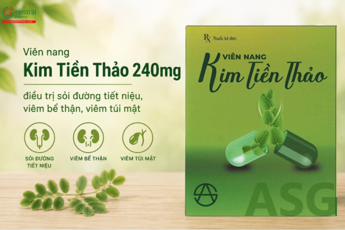 Thuốc Viên nang Kim Tiền Thảo 240mg điều trị sỏi đường tiết niệu, viêm bể thận, viêm túi mật