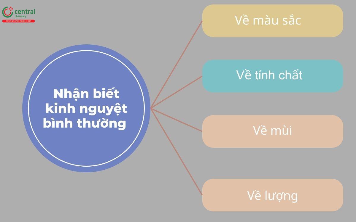 Đặc điểm kinh nguyệt bình thường