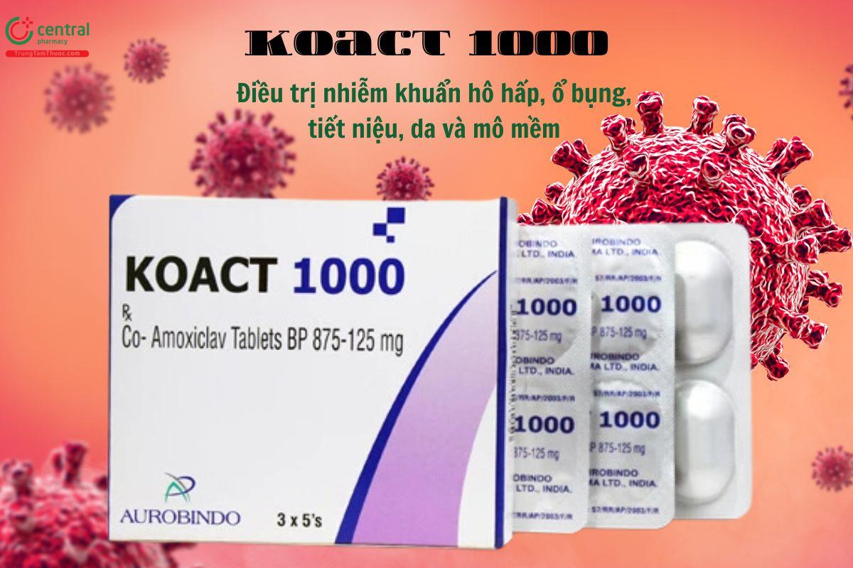 Thuốc Koact 1000 điều trị nhiễm khuẩn hô hấp, tiết niệu, mô mềm