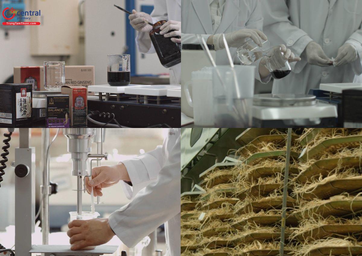 Một số hình ảnh quy trình sản xuất của Korean Ginseng Research