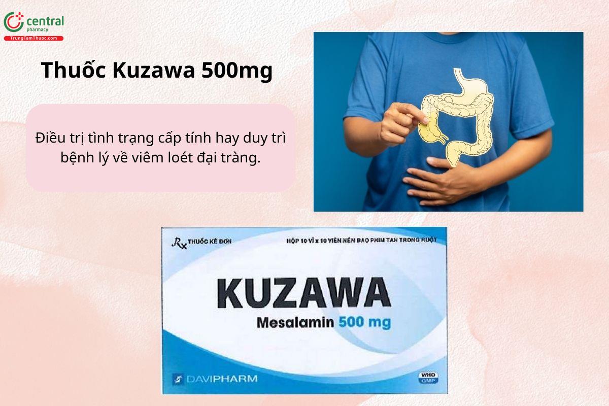 Chỉ định của thuốc Kuzawa 500mg