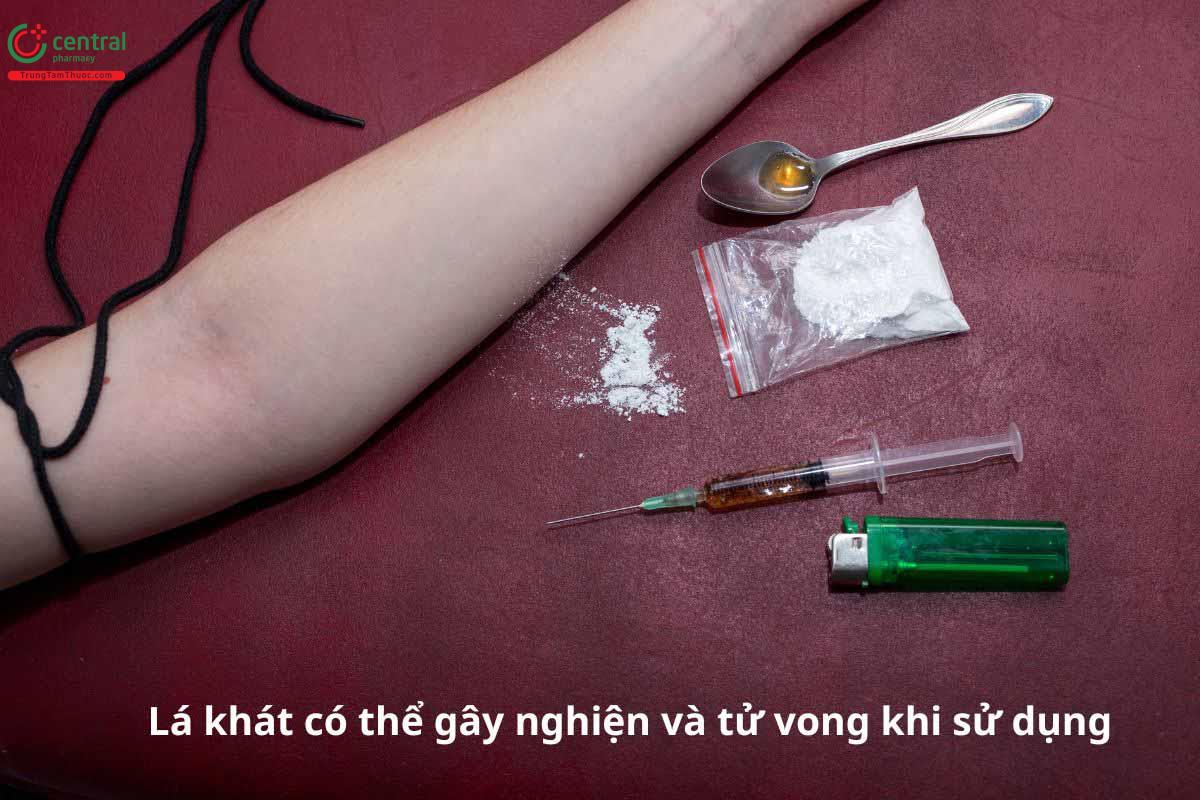 Lá khát có thể gây nghiện