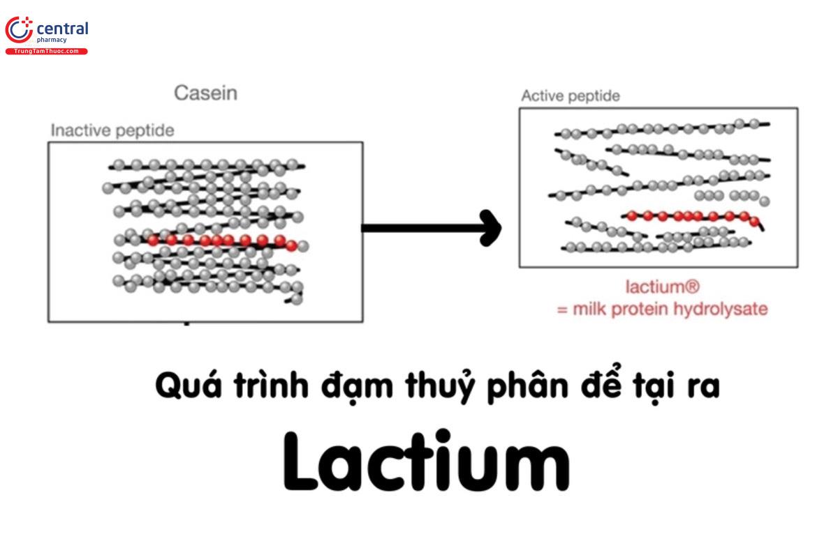 Sản xuất Lactium