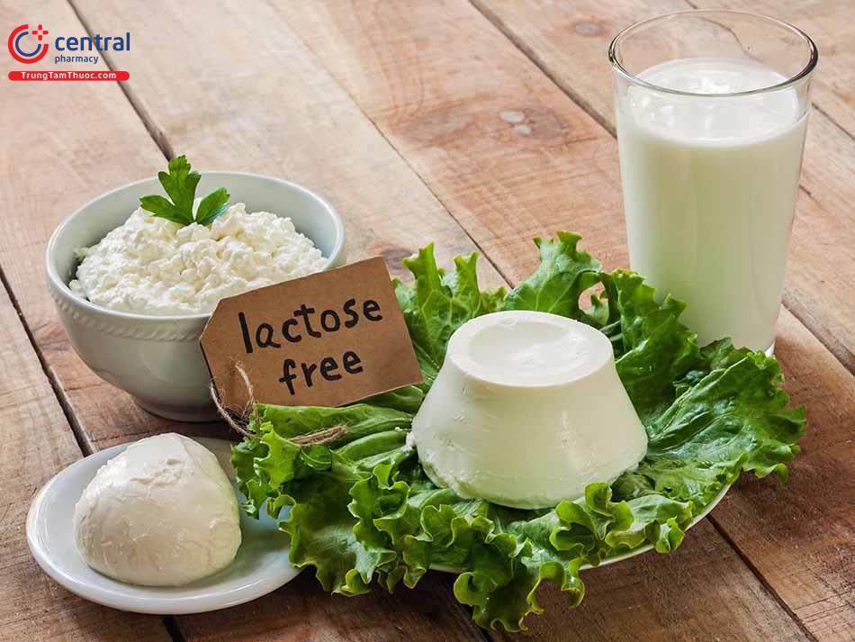 Nhóm sữa không có đường Lactose cho trẻ bị kháng Lactose