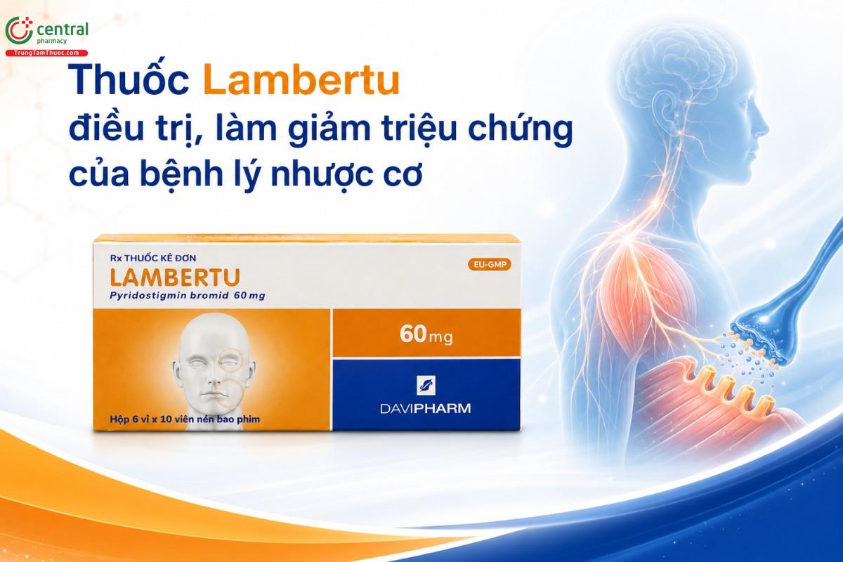 Thuốc Lambertu được chỉ định để điều trị, làm giảm triệu chứng của bệnh lý nhược cơ