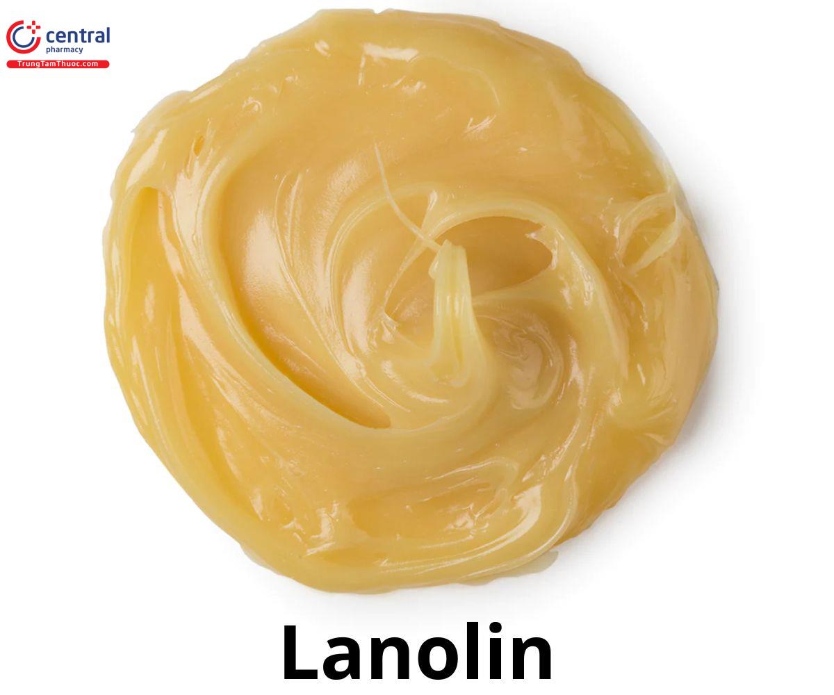 Trạng thái của Lanolin