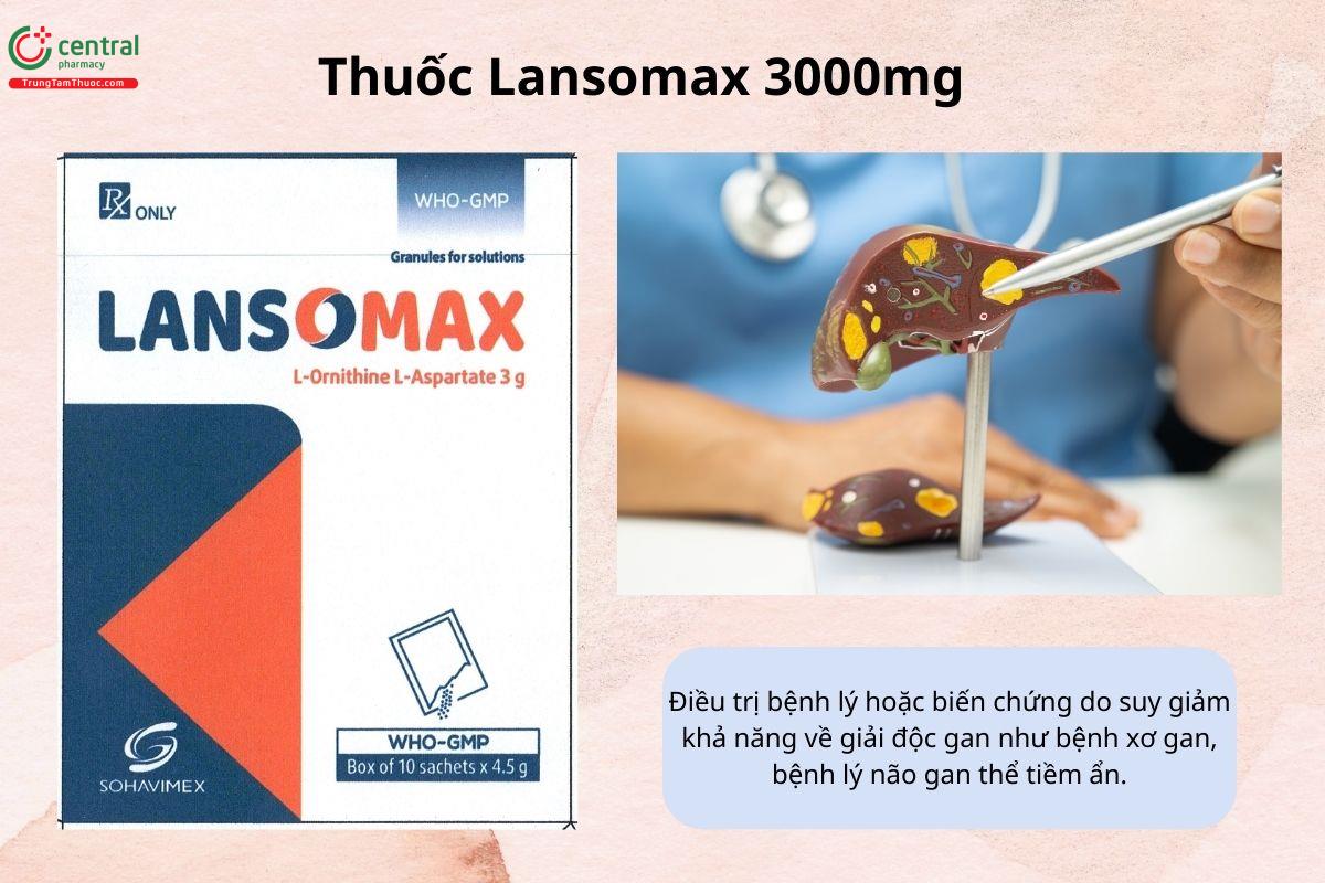Chỉ định của thuốc Lansomax 3000mg