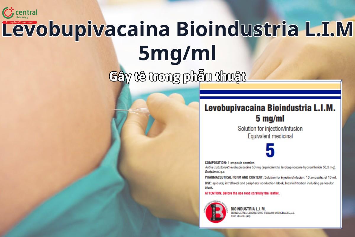 Thuốc Levobupivacaina Bioindustria L.I.M 5mg/ml gây tê trong phẫu thuật lớn như phong bế ngoài màng cứng