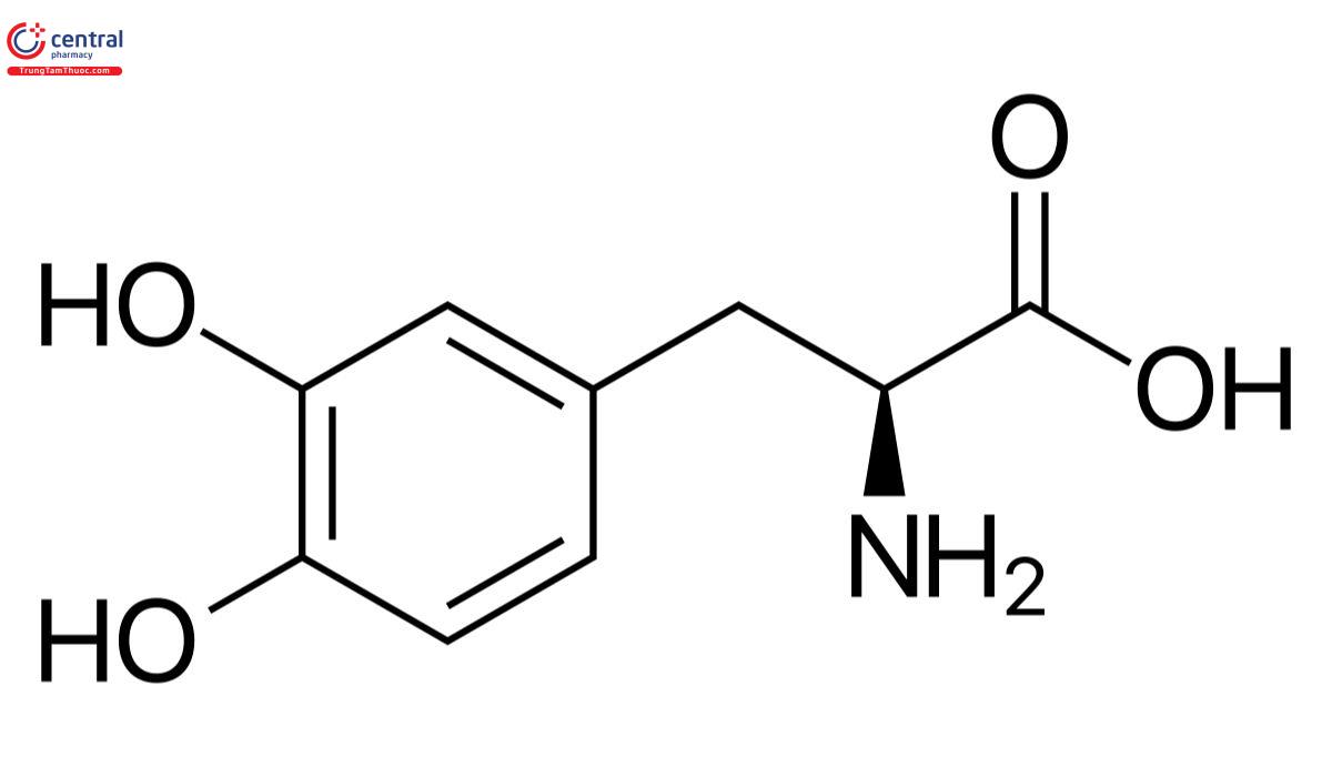 Công thức cấu tạo của Levodopa