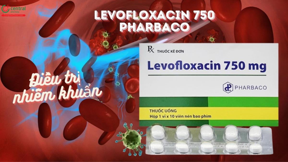 Thuốc Levofloxacin 750 Pharbaco điều trị nhiễm khuẩn do vi khuẩn nhạy cảm