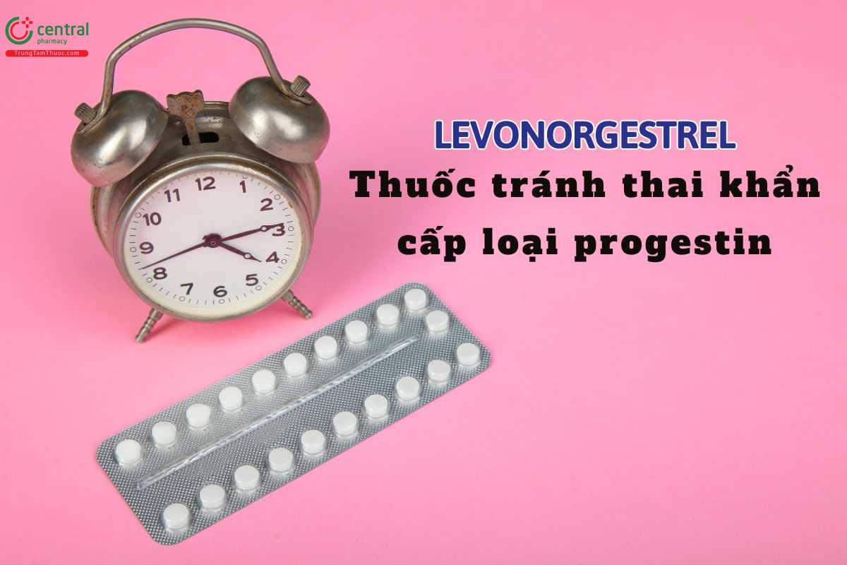 Thuốc tránh thai khẩn cấp loại Progestin