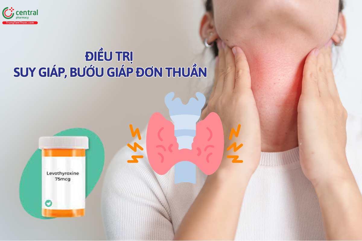 Chỉ định của Levothyroxine