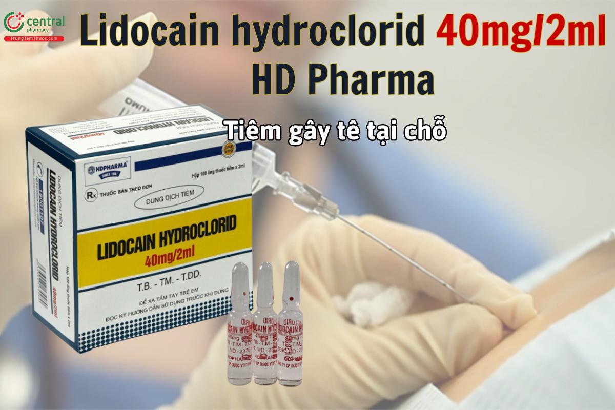 Thuốc Lidocain hydroclorid 40mg/2ml HD Pharma gây tê bề mặt niệu đạo ở nam và nữ
