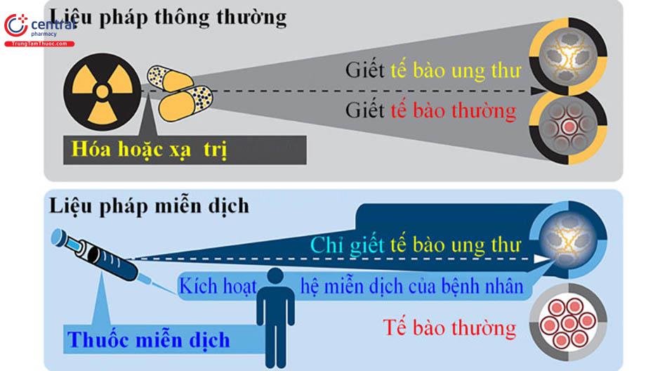  Liệu pháp miễn dịch trong điều trị ung thư